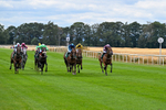 070826-Race 1-Drish Samphire-1328