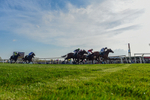 080426-Race 7-Sir Garfield-0139