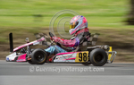 Hillclimb_25-05-2015_KART-16