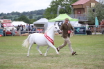 SBM_09906