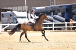 SBM_001601