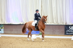 SBM_002910