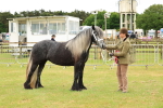 SBM_00623