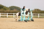 SBM_000368