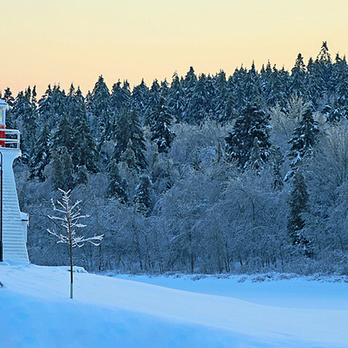 Trees coated in thick ice surround the lighthouse at Renforth, NB.