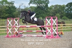 BPP_8803