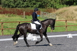 SIAL0628