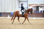 SBM_000455