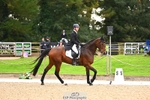 Rider 310 to 319 portfolio