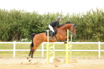 SBM_009943