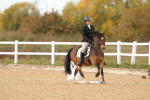 SBM_010565