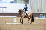 SBM_001490