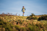Sale Fell-105