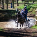 _DSC0075