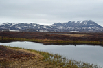 Lake Mývatn, north east Iceland