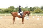 SBM_008859