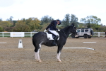 SBM_002306