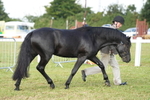 DSC04913