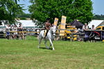 SBM_06065