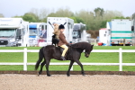 SBM_00214