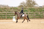 SBM_001493