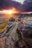 path-to-the-pinnacle