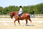 SBM_011804