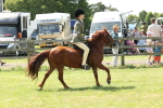 SBM_06877