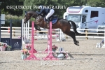 BPP_8356