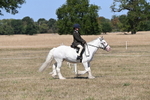 WJ6_8804