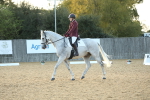 SBM_31174