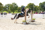 SBM_18196