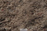 230915A-130256-00428