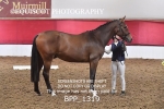 BPP_1319