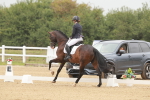 SBM_009891