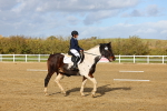 SBM_002258