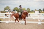 SBM_05995
