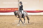 BPP_8255