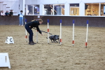 SBM_005999