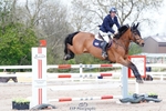 Cls 34 Young Horse 7yr old portfolio