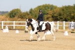 SBM_016737