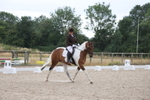 British Dressage portfolio