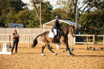 SBM_31437
