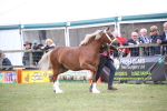 SBM_09757