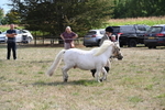 WJ6_6926