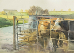 'Cattle at the Gates'