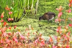20120714-_MG_0421
