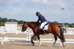SBM_03855