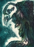 Vulture