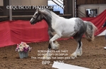 BPP_1276